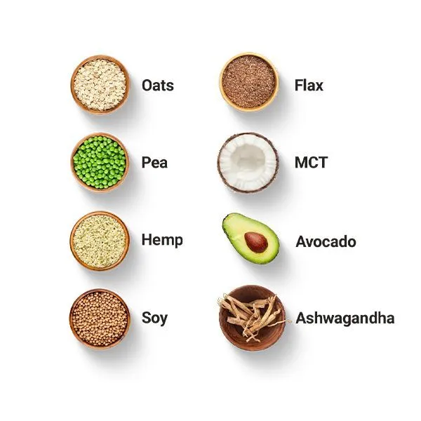 Ingredients Complete 360 meal.png