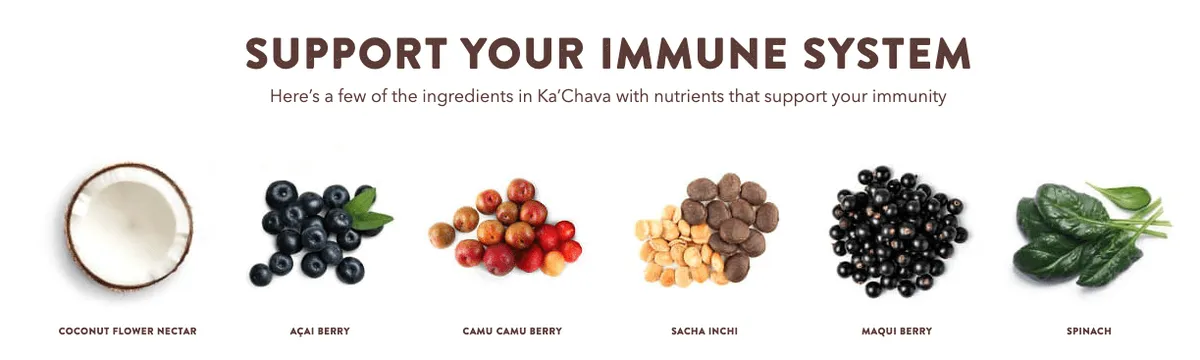 Kachava support immune system