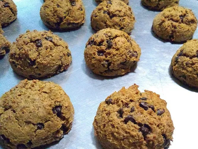 Huel Vanilla Chocolate Cookies-vossad01