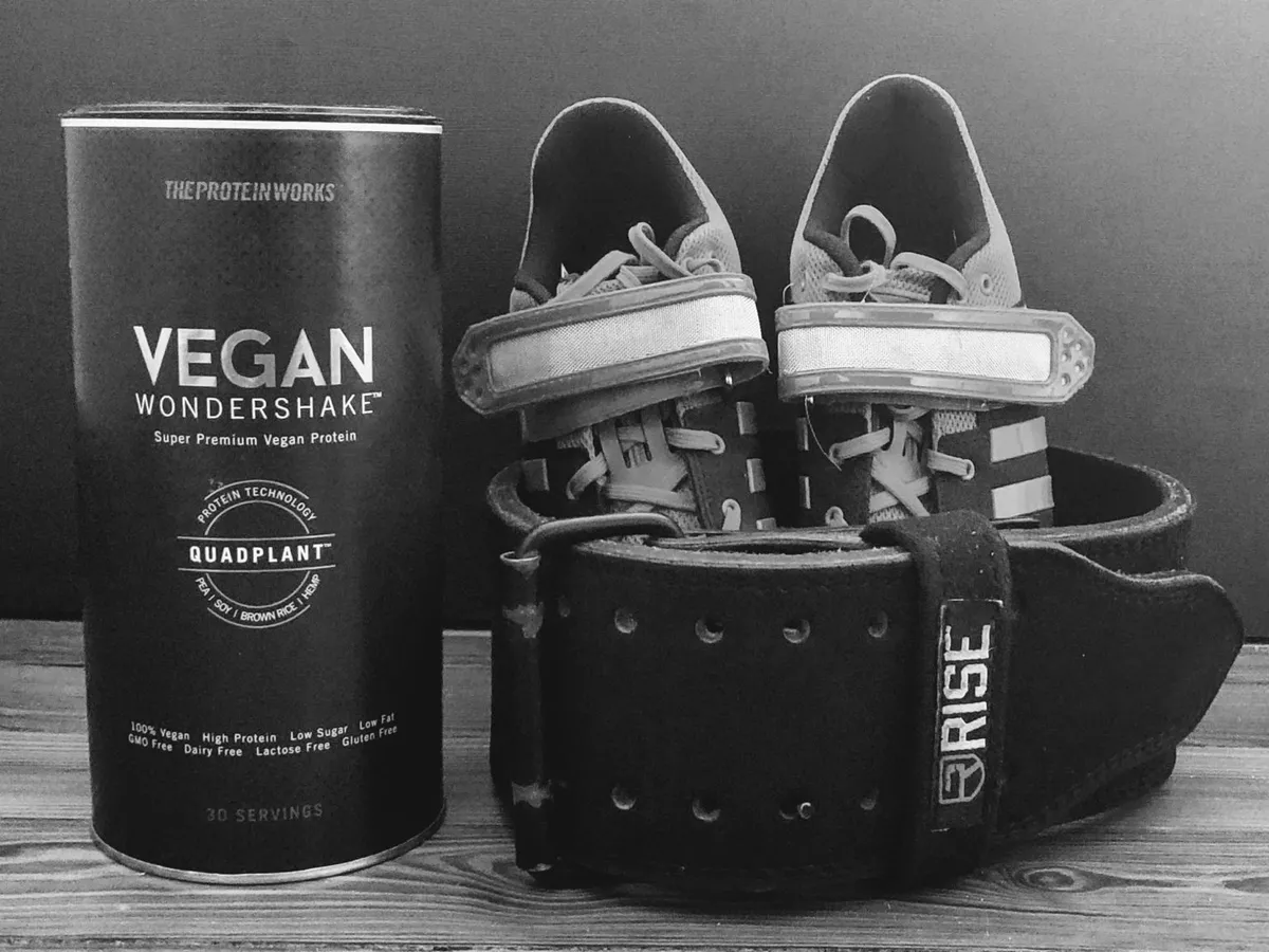 Vegan Wondershake review the protein works