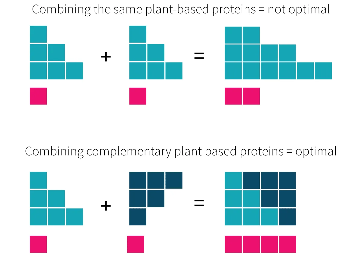 Plant Based protein combined