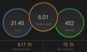 Pulve Day2 run
