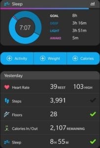Satislent Summary Day2