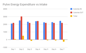 Pulve Energy Expenditure vs Intake