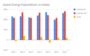 Queal Energy Expenditure vs Intake