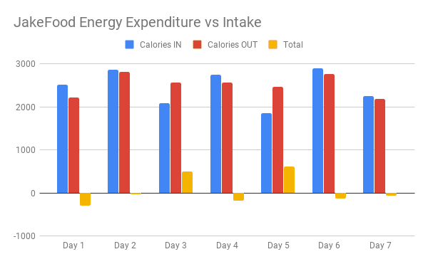 JakeFood Energy Expenditure vs Intake