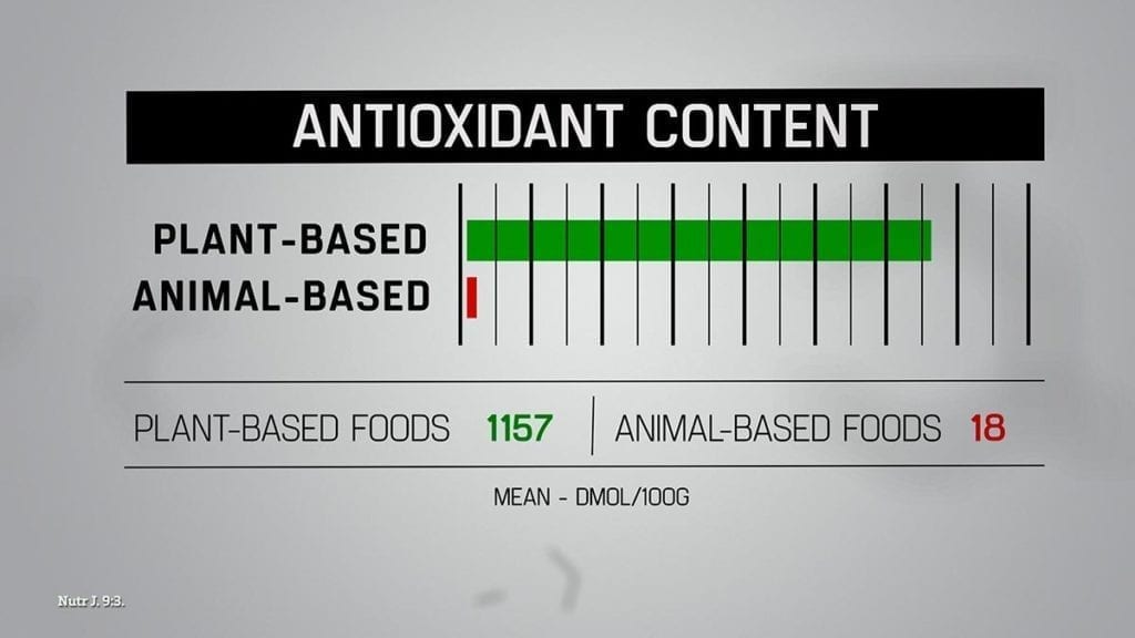 Antioxidant content in plants vs animal based food.