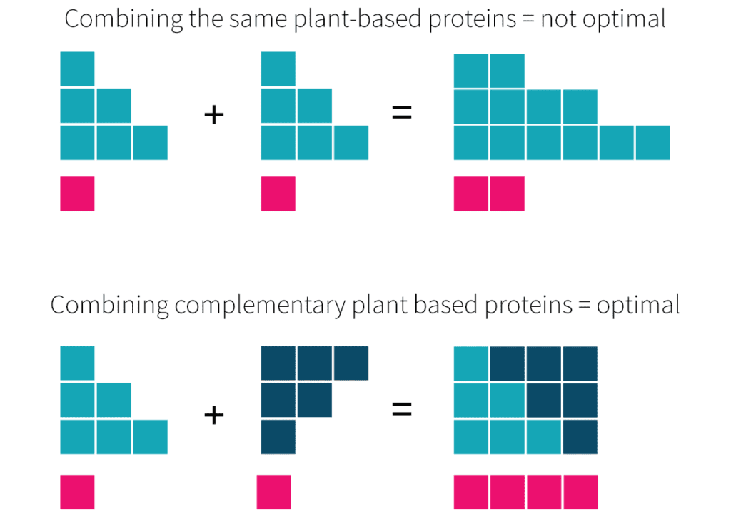 Plant Based protein combined
