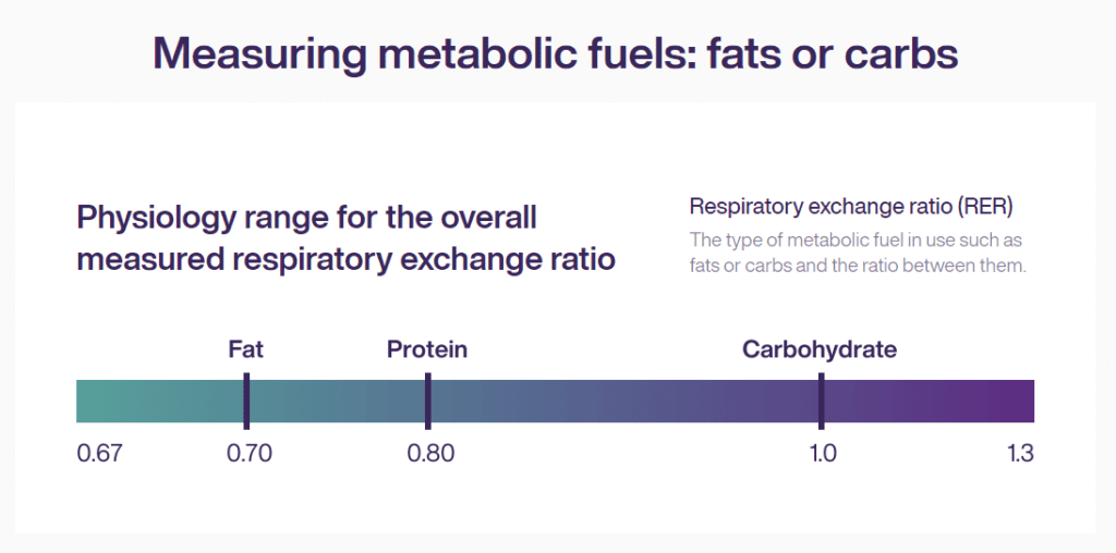 lumen metabolic tracker