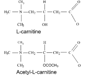 Structure of acetyl l-carnitine