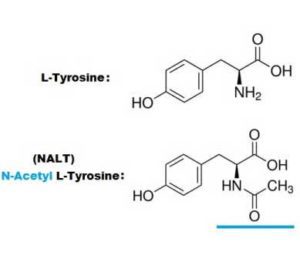 N-acetyl L-tyrosine