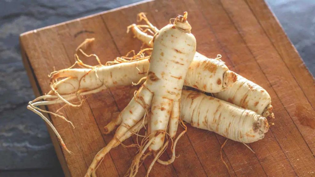 Panax ginseng