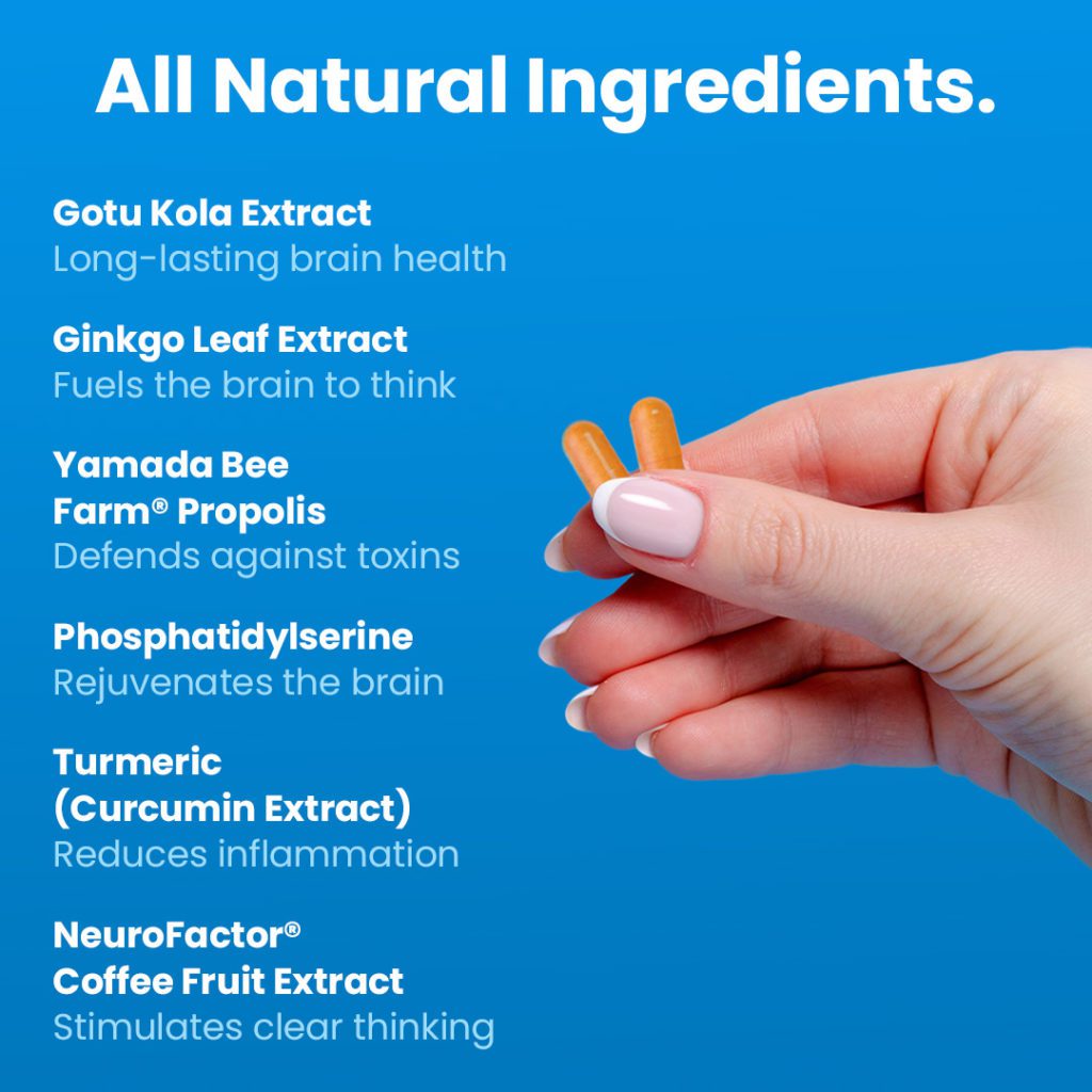 NeuroQ ingredients function