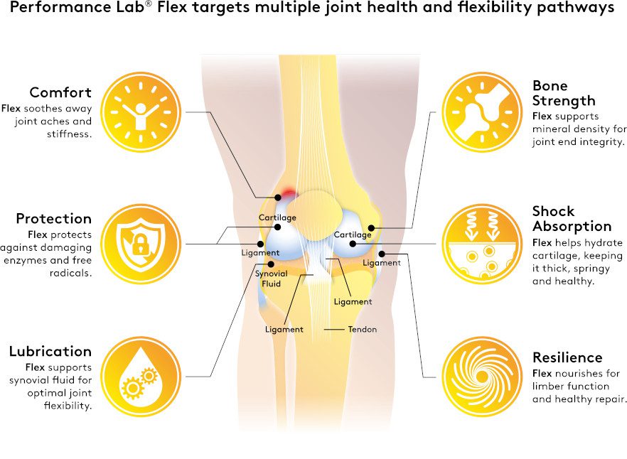 Performance Lab Flex benefits