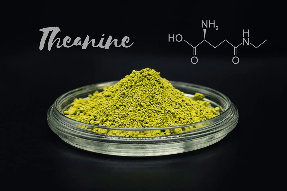 l-theanine as nootropic