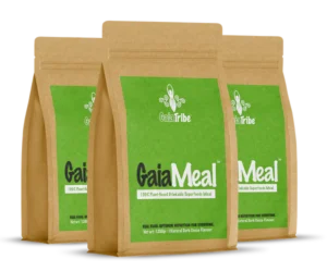 Gaia Meal bags review