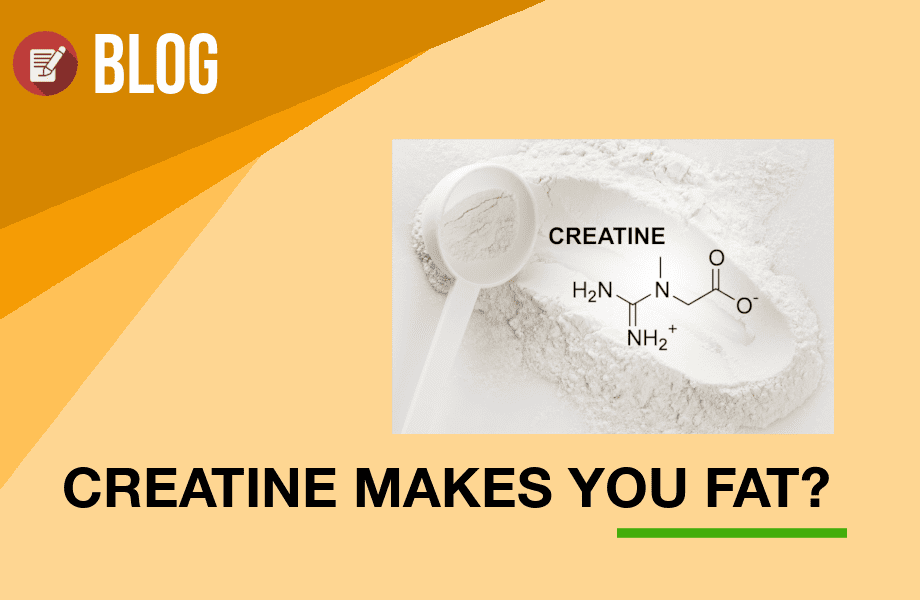 Does creatine make you gain weight by latestfuels