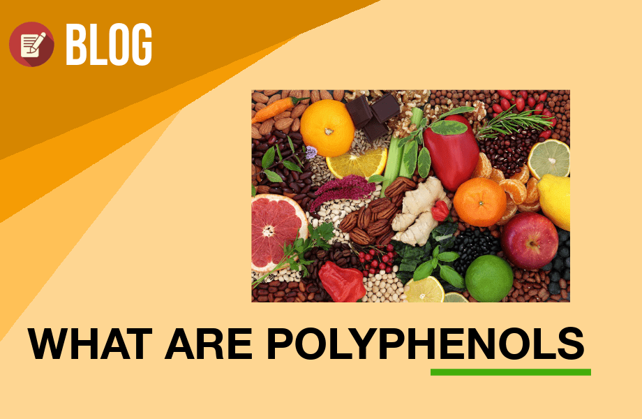 What are polyphenols