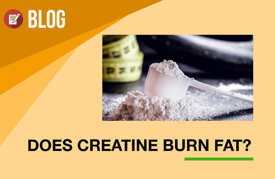 Does creatine burn fat