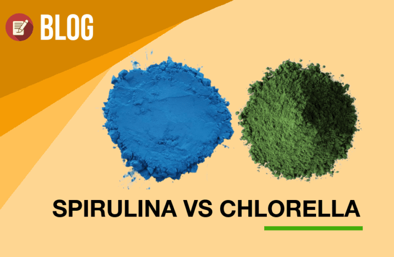 Chlorella y Espirulina | ¿Cuál Es la Diferencia y Qué Es Mejor?