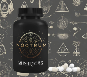 Nootrum mushrooms blend